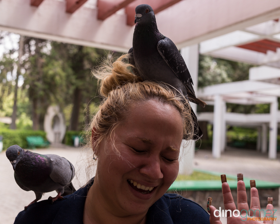 Pigeon On Woman's Head And Shoulder In Guadalajara, Mexico