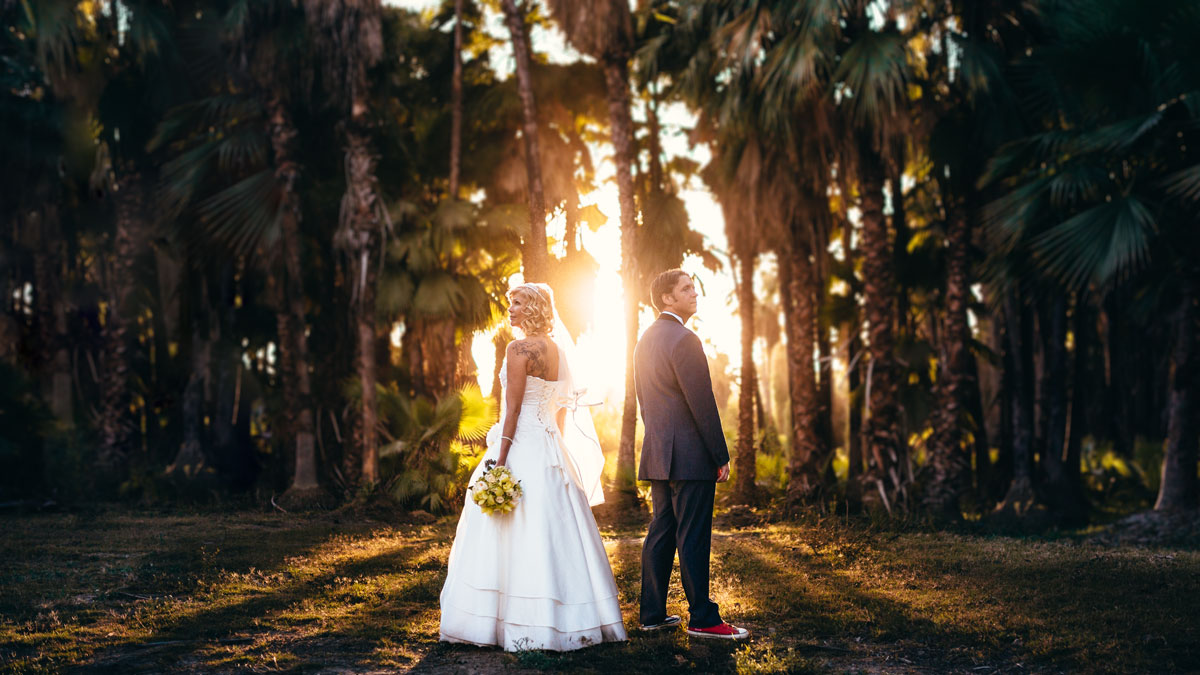 Wedding Couple Outdoor Photo A Shot Of A Bride And Groom Standing Back To Back In An Open Area With Some Palm Trees And The Sunset As The Backdrop By Wedding Photographer Dino Gomez