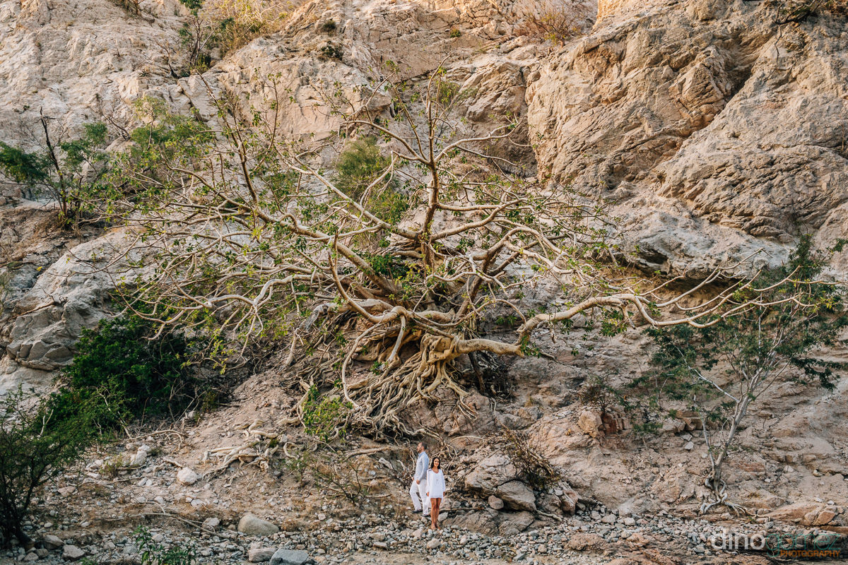 Amazing photo of a couple standing on a mountain bed with a huge tree behind them from Cabo Photographer Dino Gomez