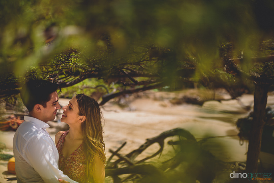 A Beautiful Photo Through The Green Leaves